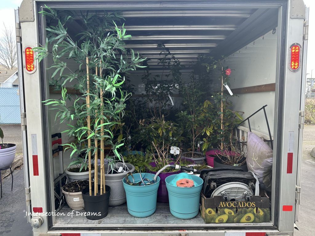 Plant Moving Day