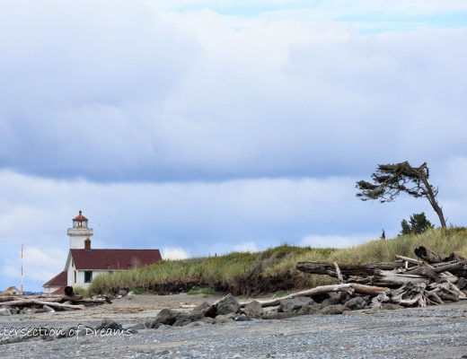 a lighthouse above a windy bluff and rocky beach